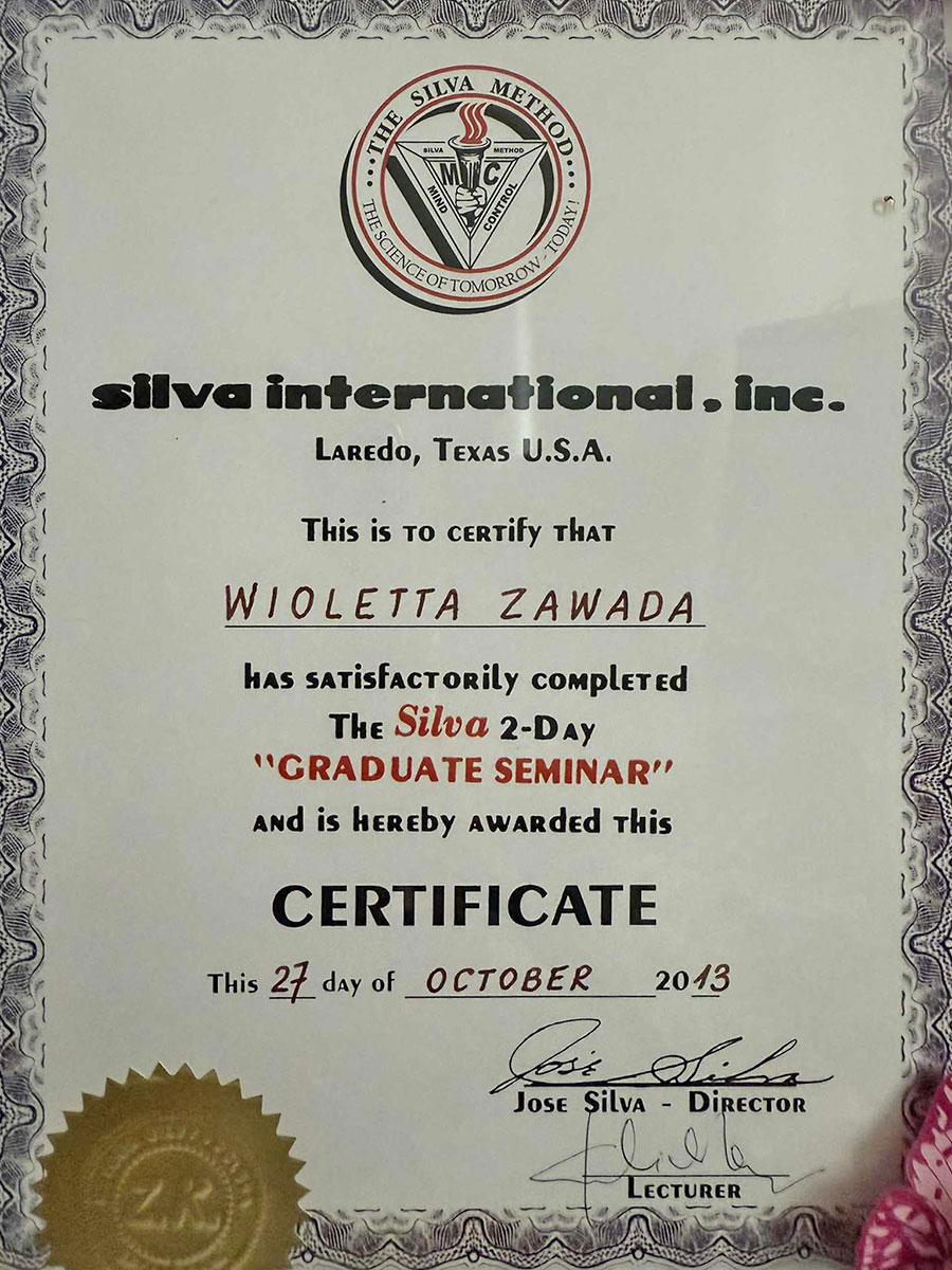 Portfolio Image