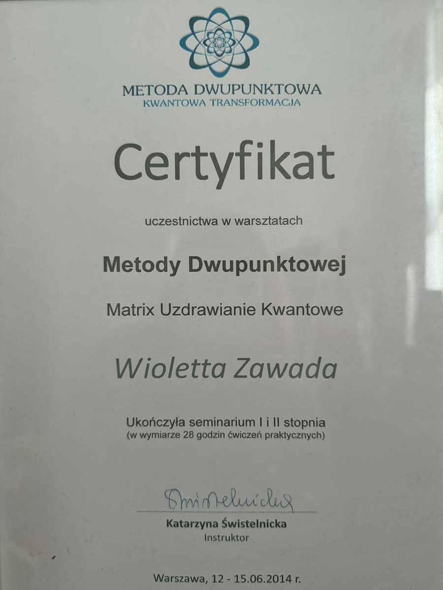Portfolio Image